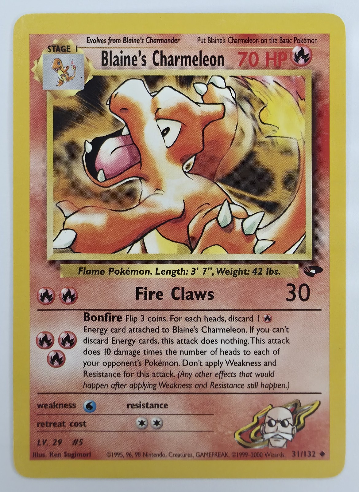 Blaine's Charmeleon front