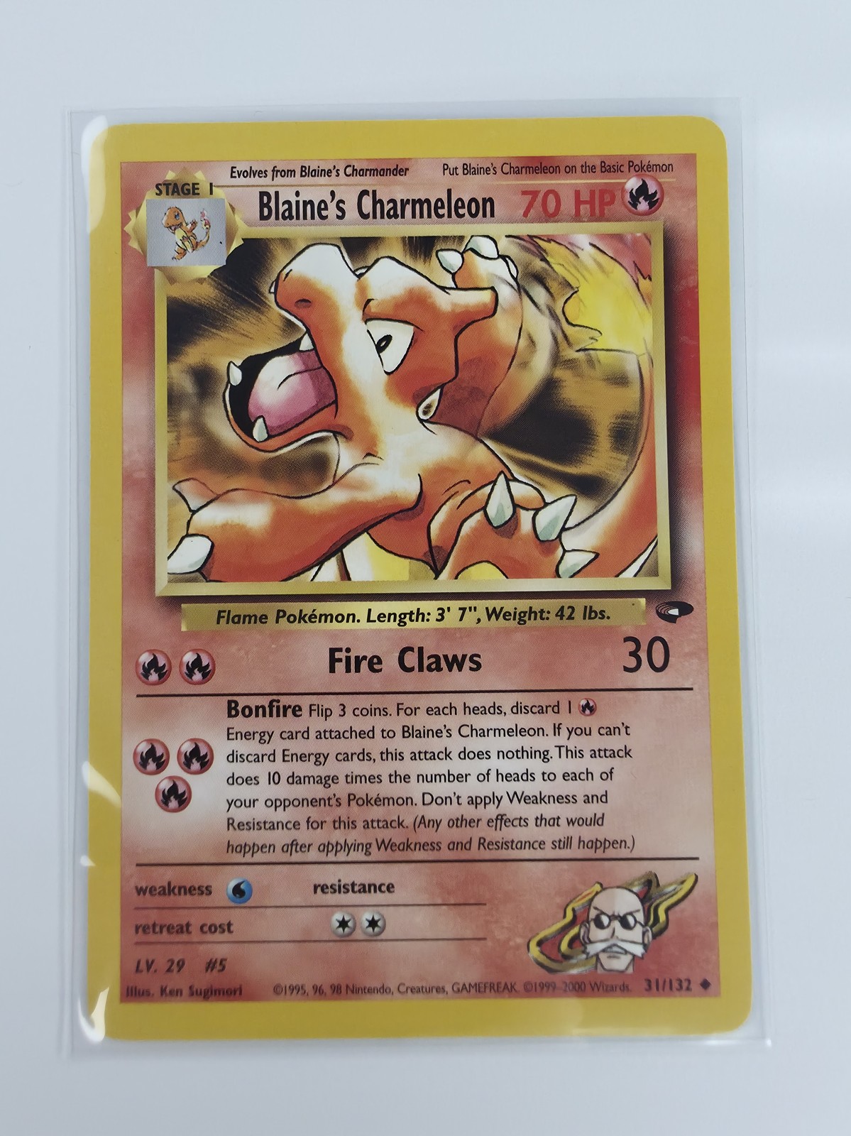 Blaine's Charmeleon front, second shot