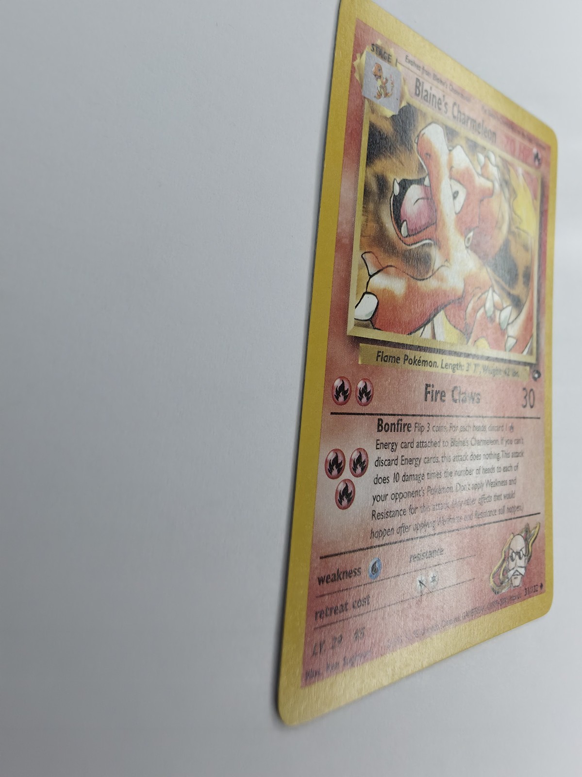 Blaine's Charmeleon, front gloss under raking light across art and text box