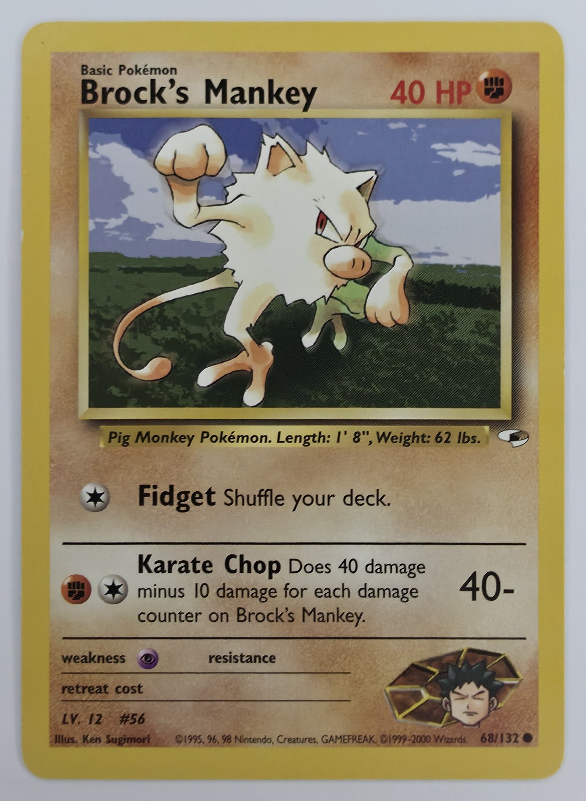 Brock's Mankey front