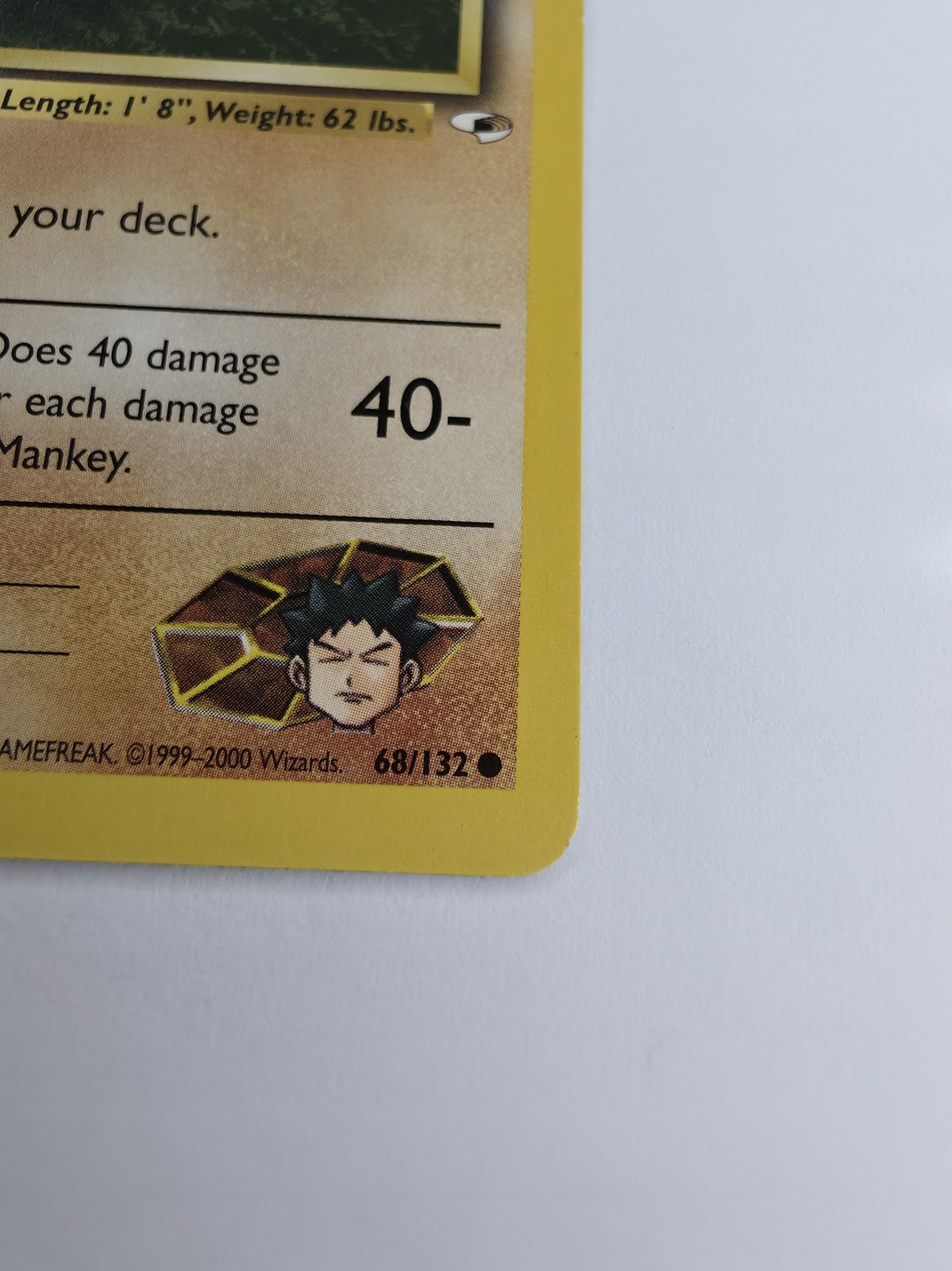 Brock's Mankey, front bottom-right corner