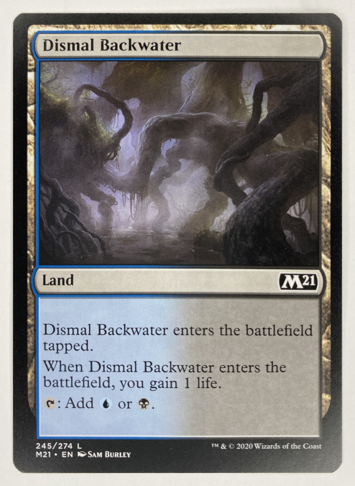 2020 Magic: The Gathering Core Set 2021 Dismal Backwater #245/274 Land front