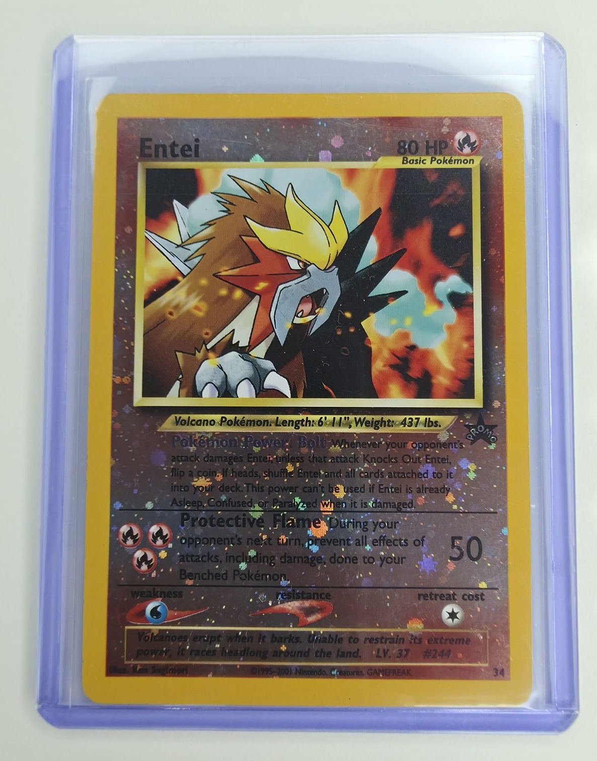 Entei sleeved front