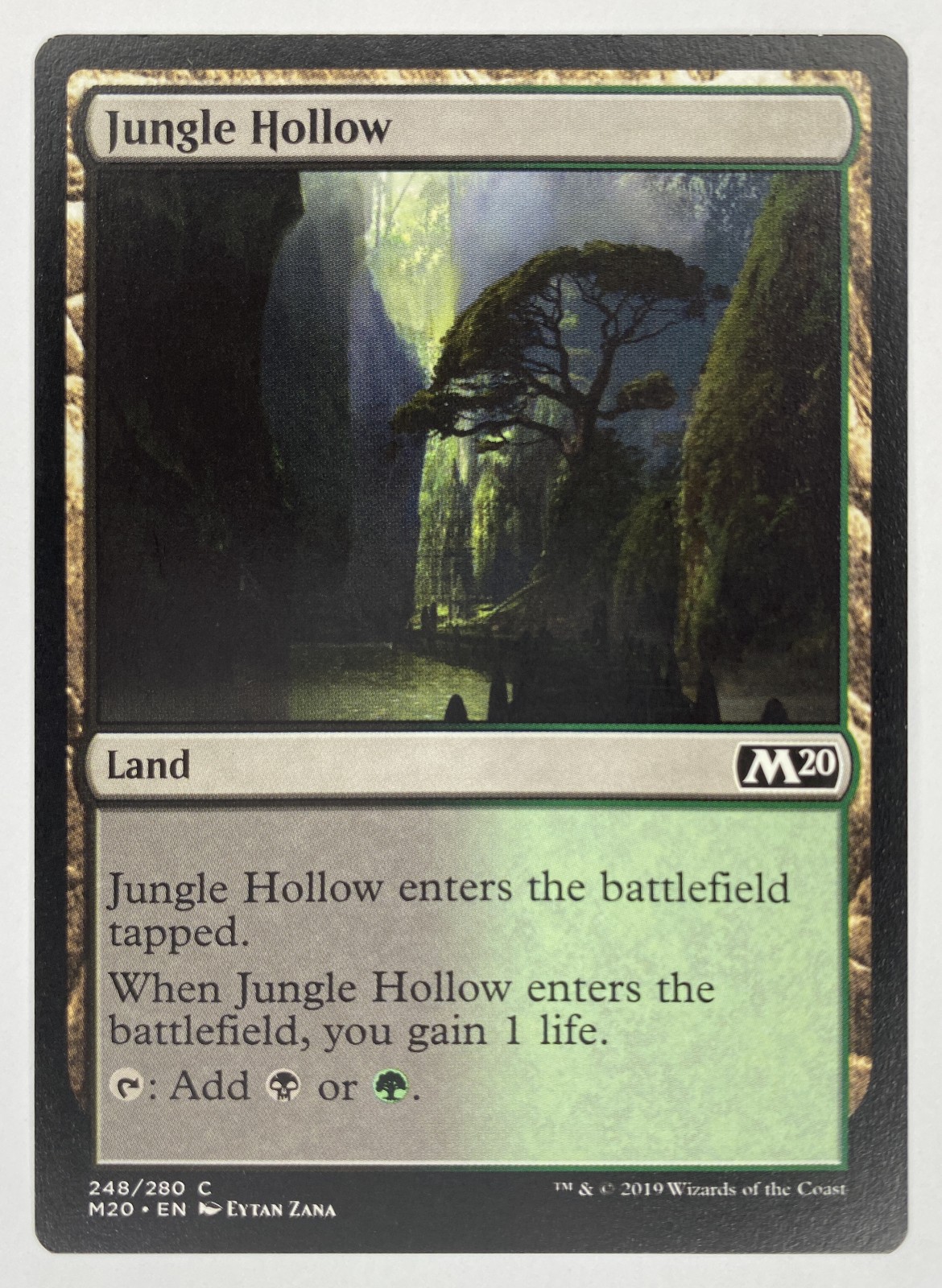 2019 Magic: The Gathering Core Set 2020 Jungle Hollow #248/280 Common front