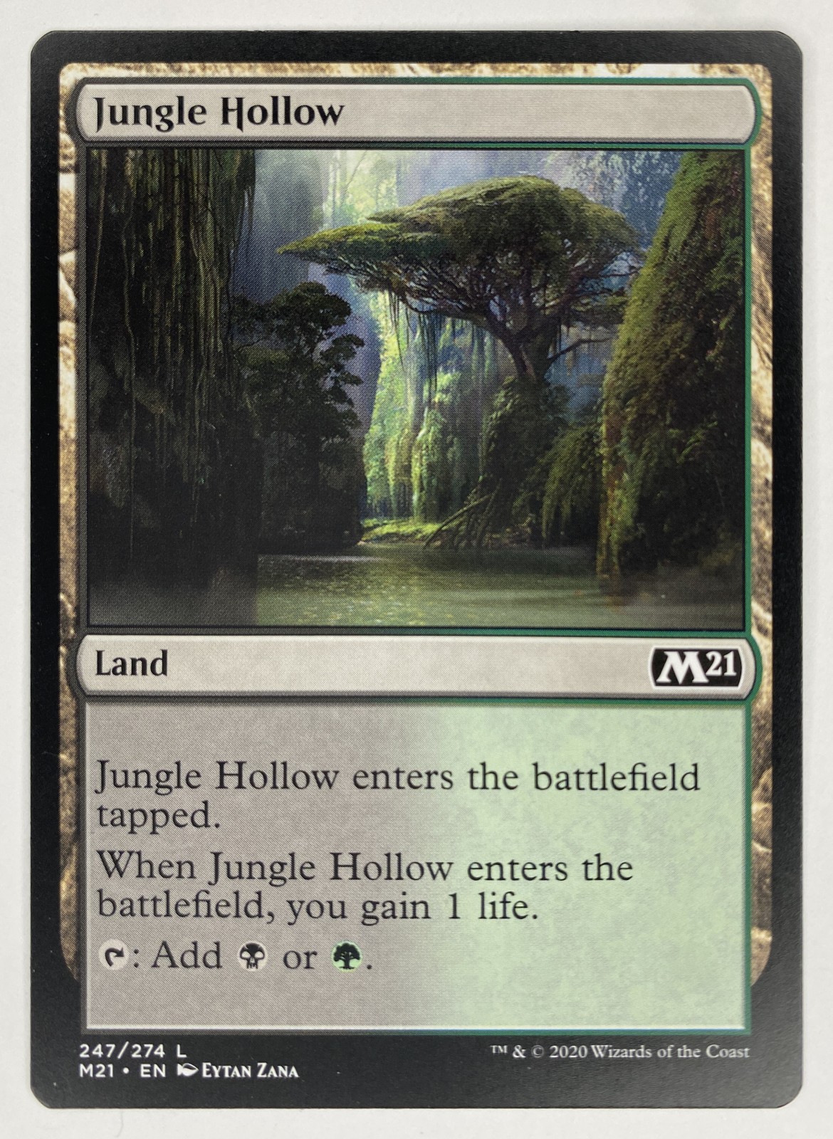 2020 Magic: The Gathering Core Set 2021 Jungle Hollow #247/274 Land front
