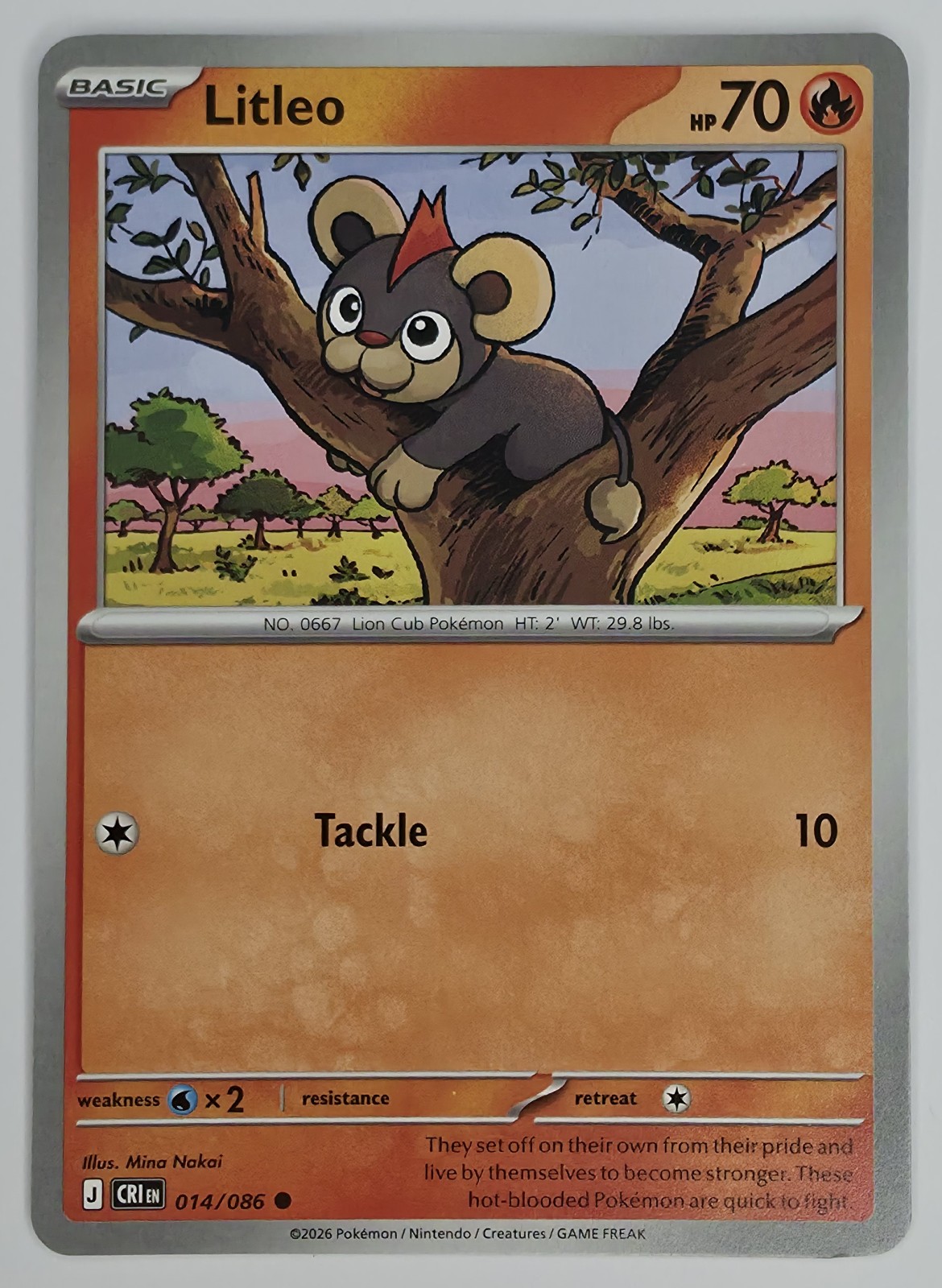 2026 Pokemon Chaos Rising Litleo #014/086 Common front