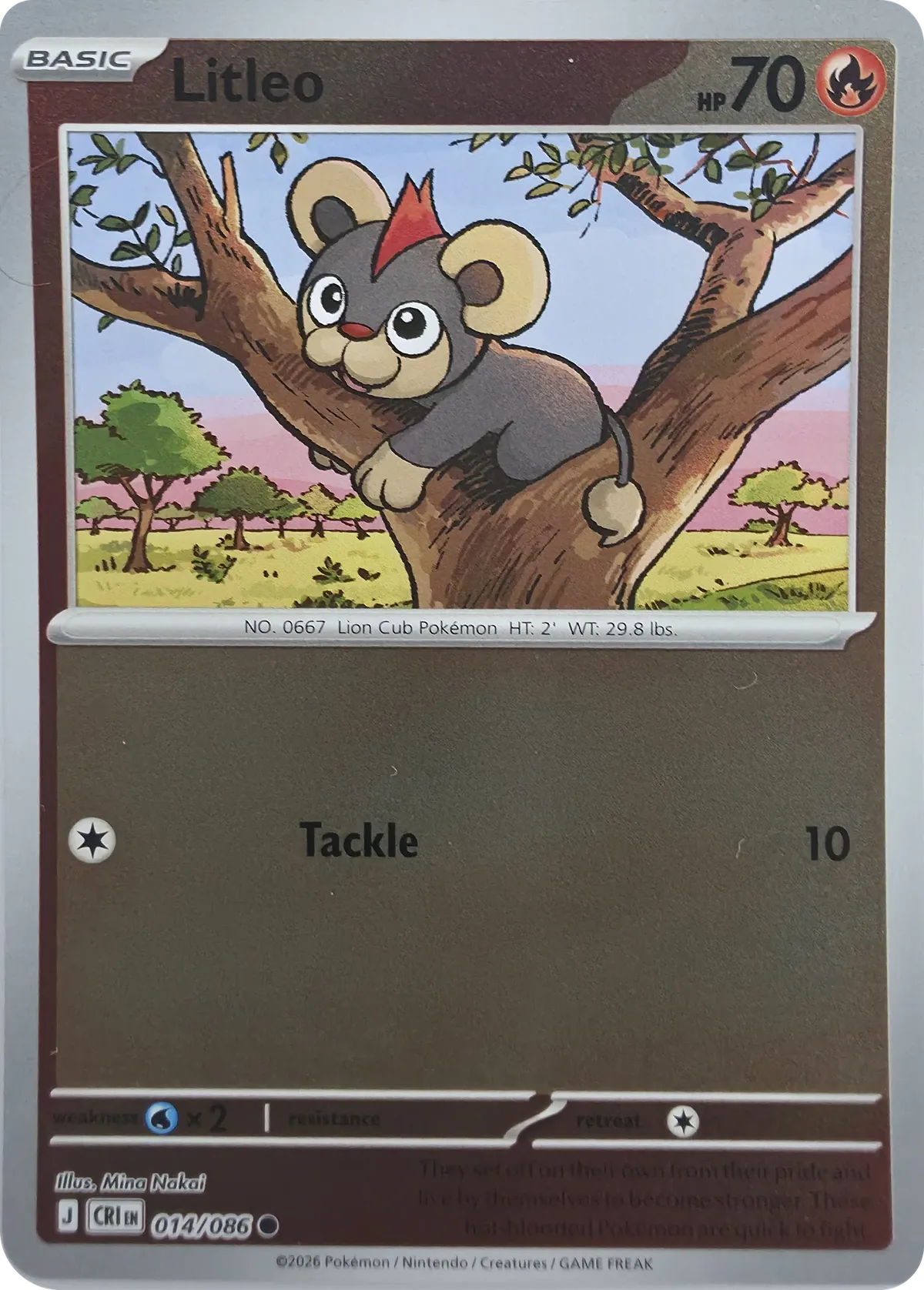Litleo #014/086, front