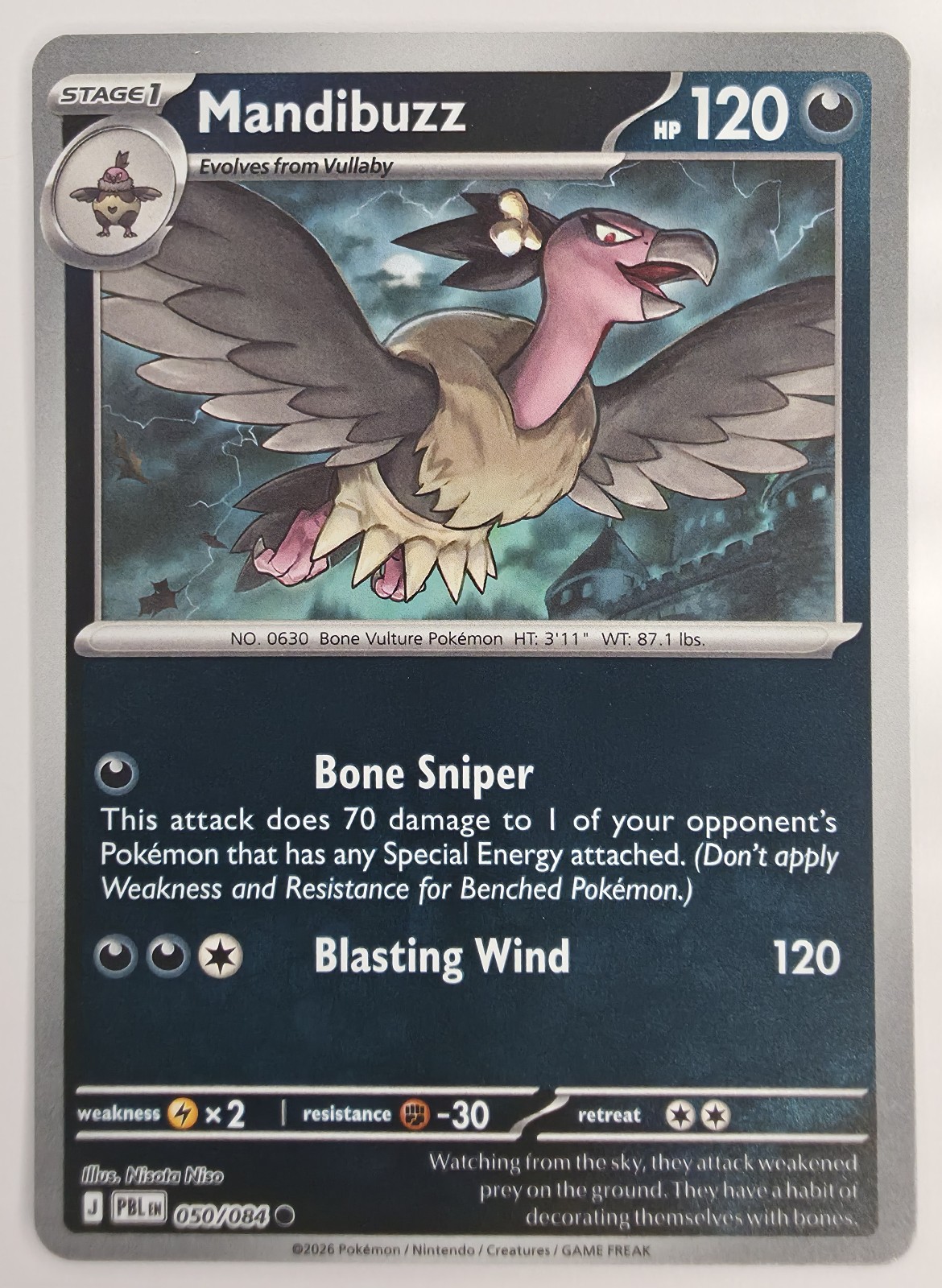 Mandibuzz front