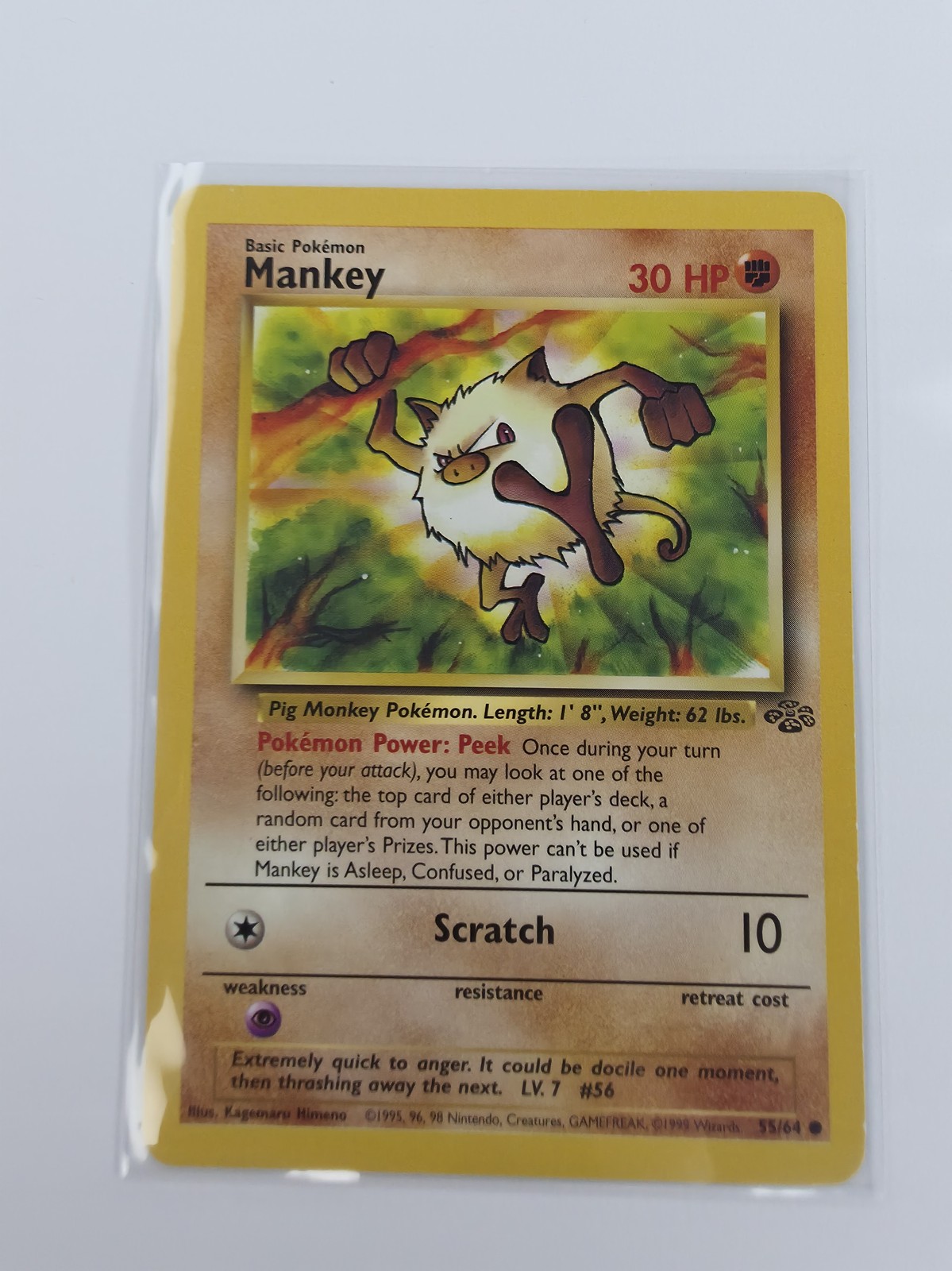 Mankey front, second shot