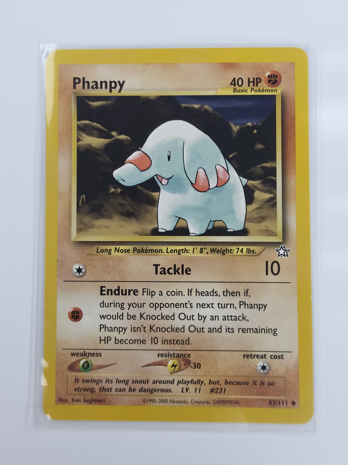 Phanpy front, second shot