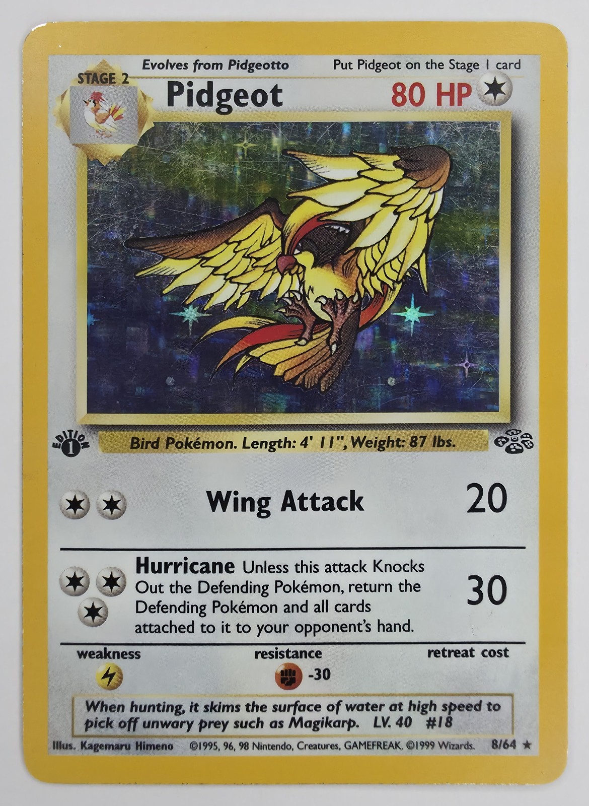 Pidgeot front