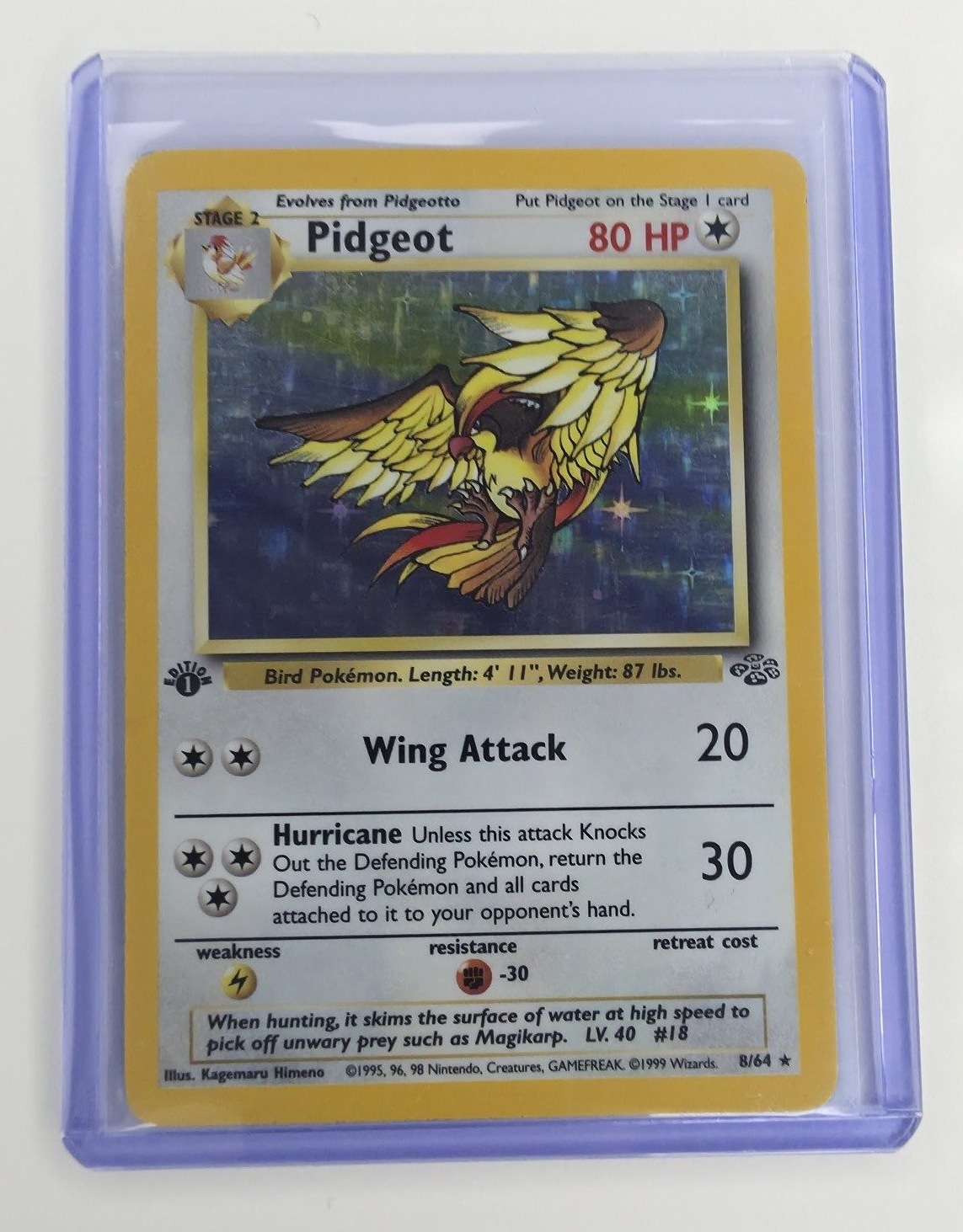 Pidgeot sleeved