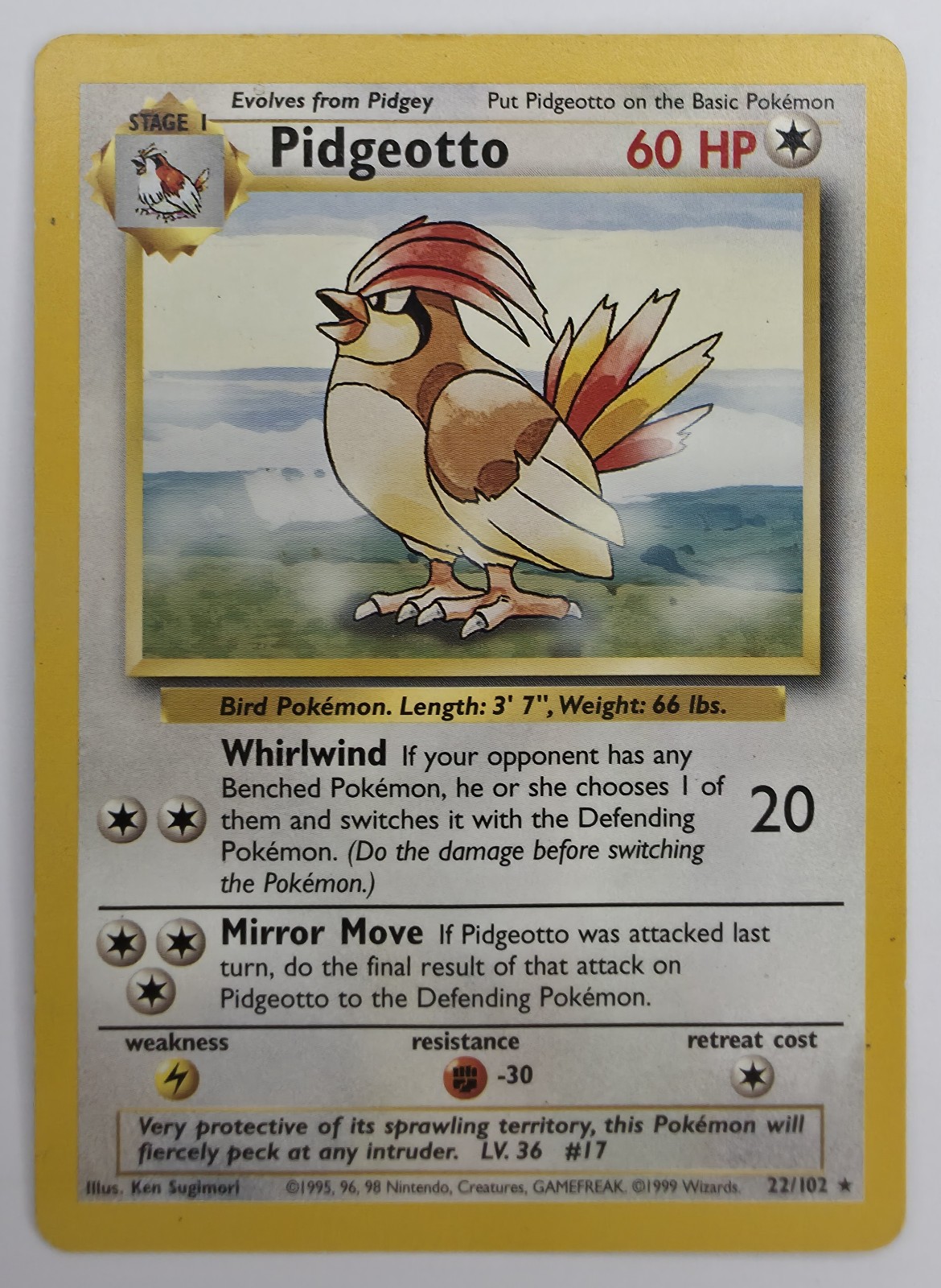 Pidgeotto front