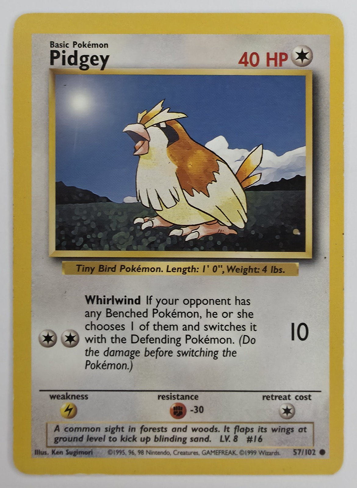 Pidgey front