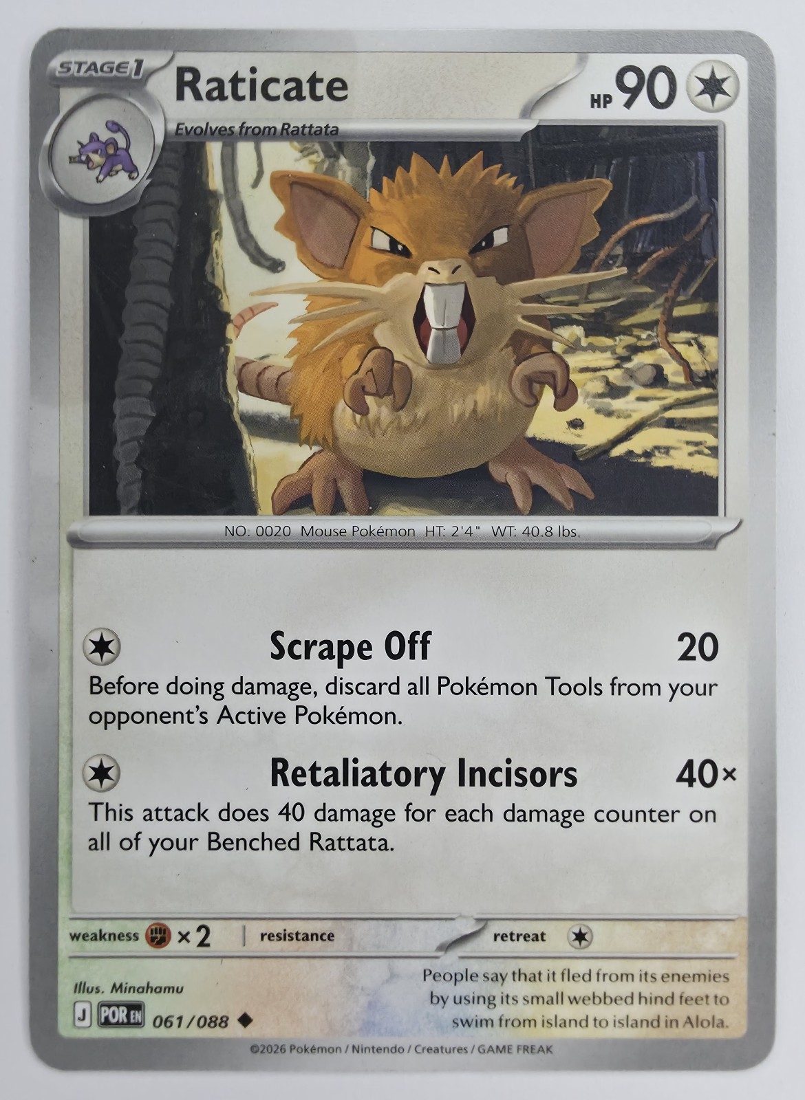 Raticate front