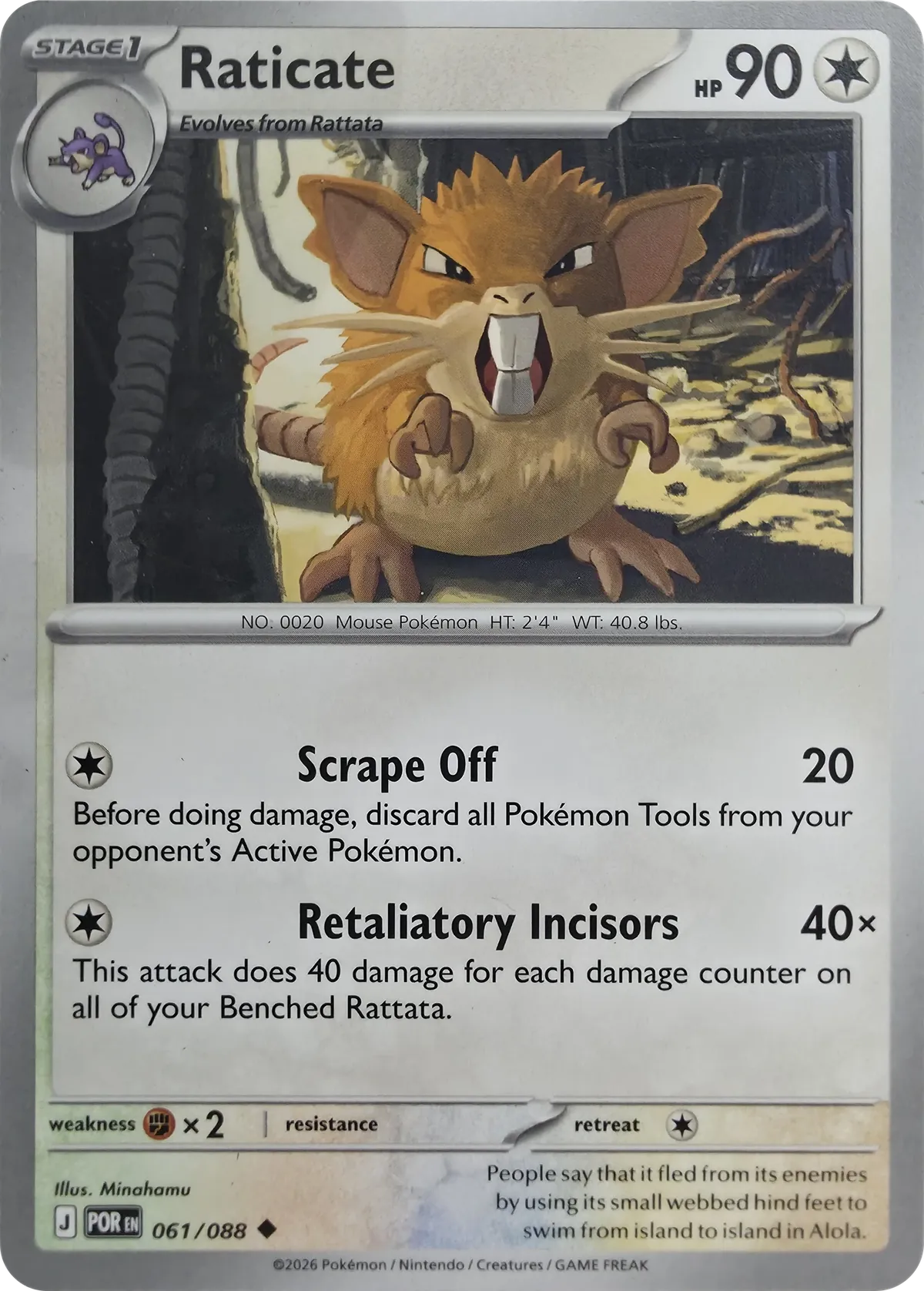 Raticate #061/088, front