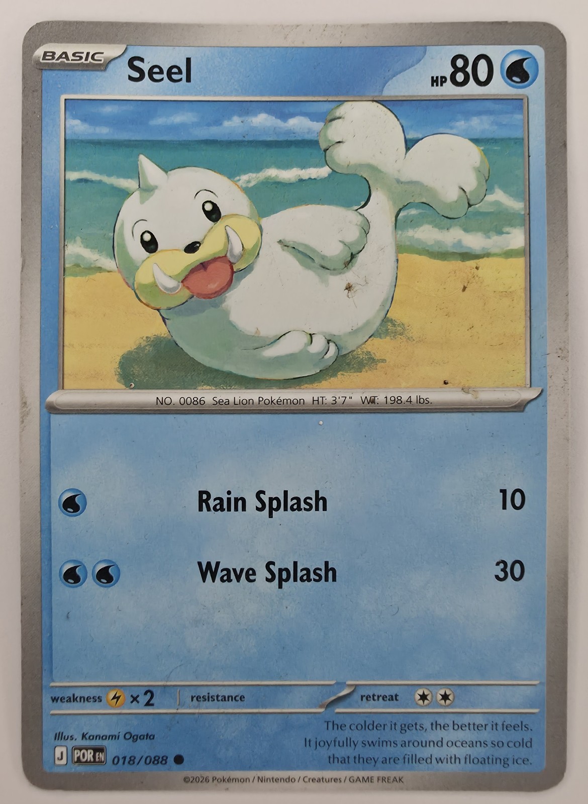 Seel front