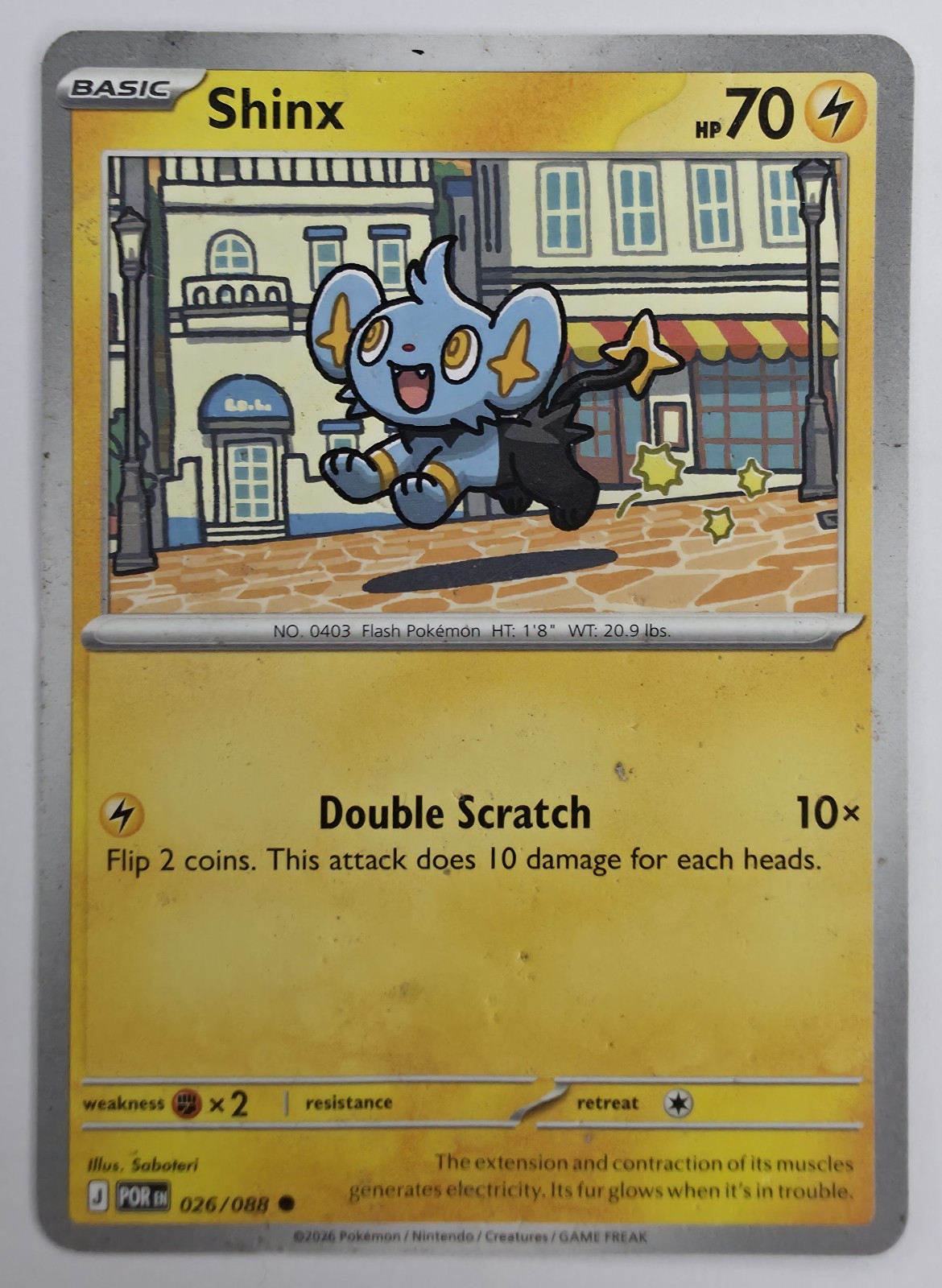 Shinx front