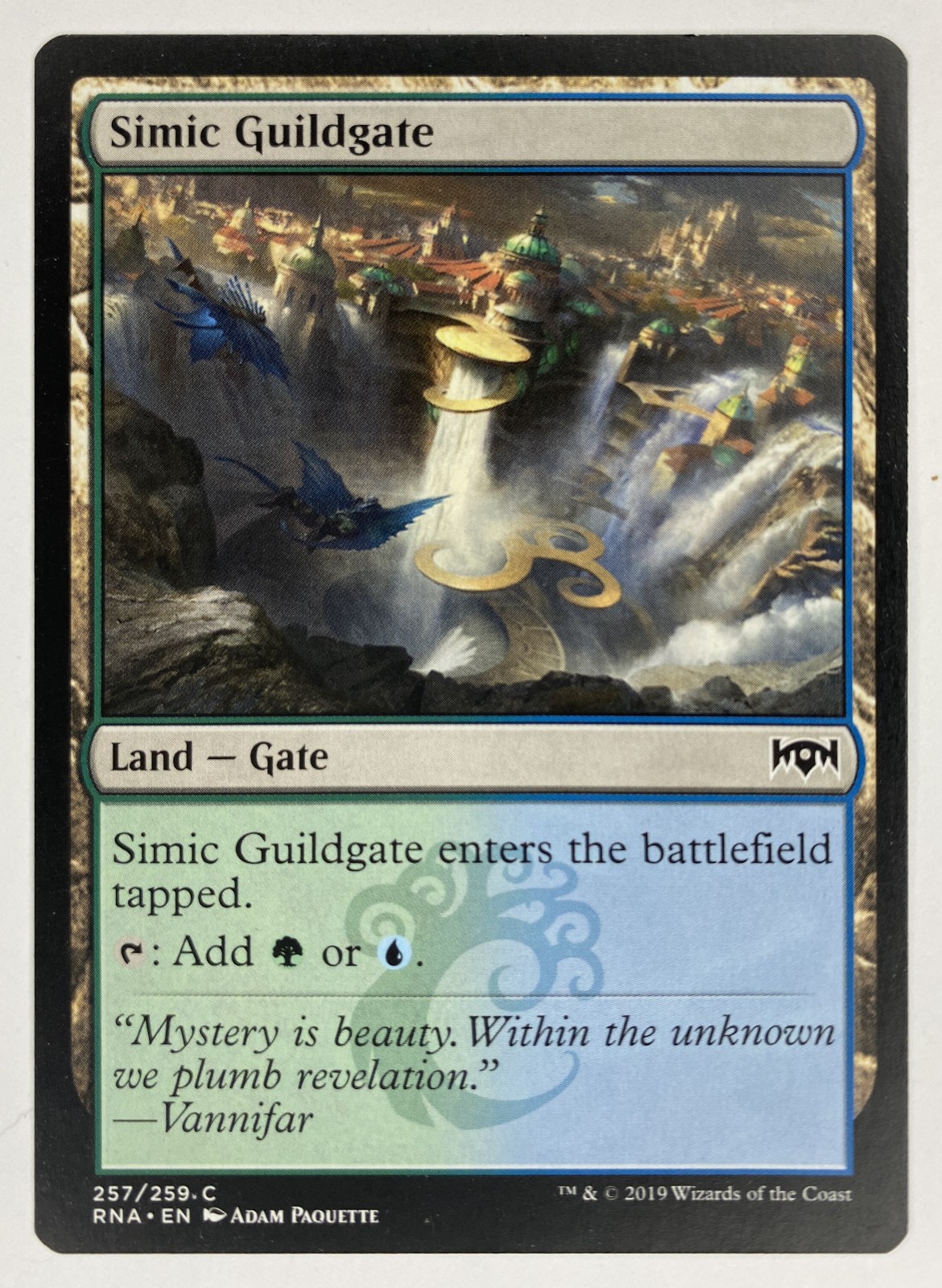 2019 Magic: The Gathering Ravnica Allegiance Simic Guildgate #257/259 Common front