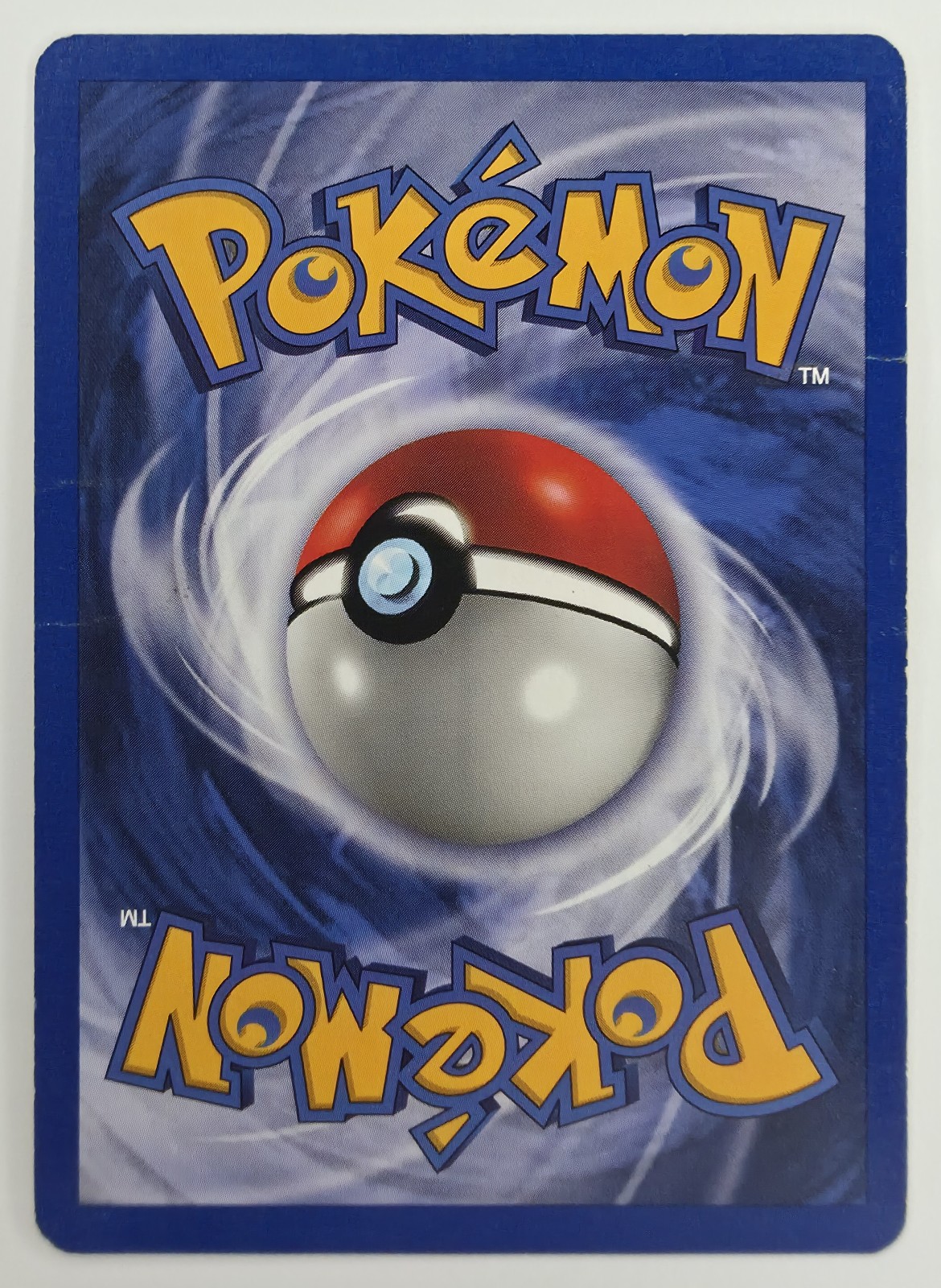 Squirtle back
