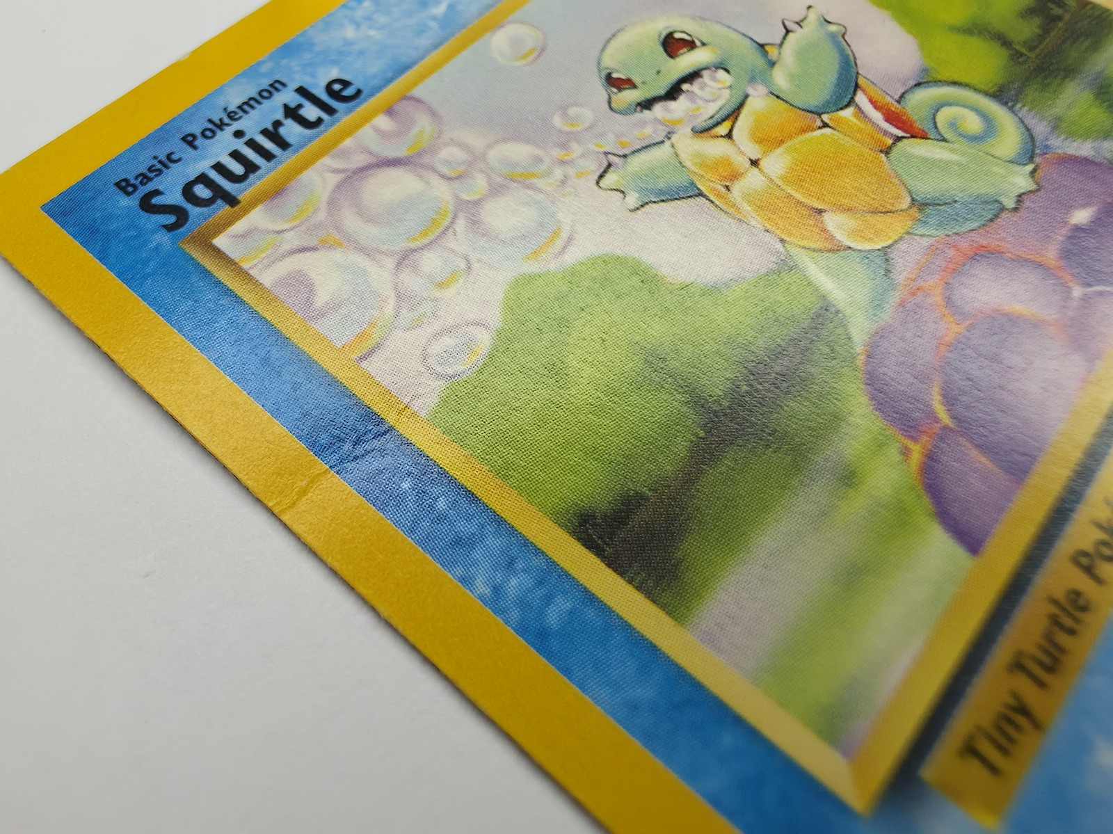 Squirtle front, angled close-up