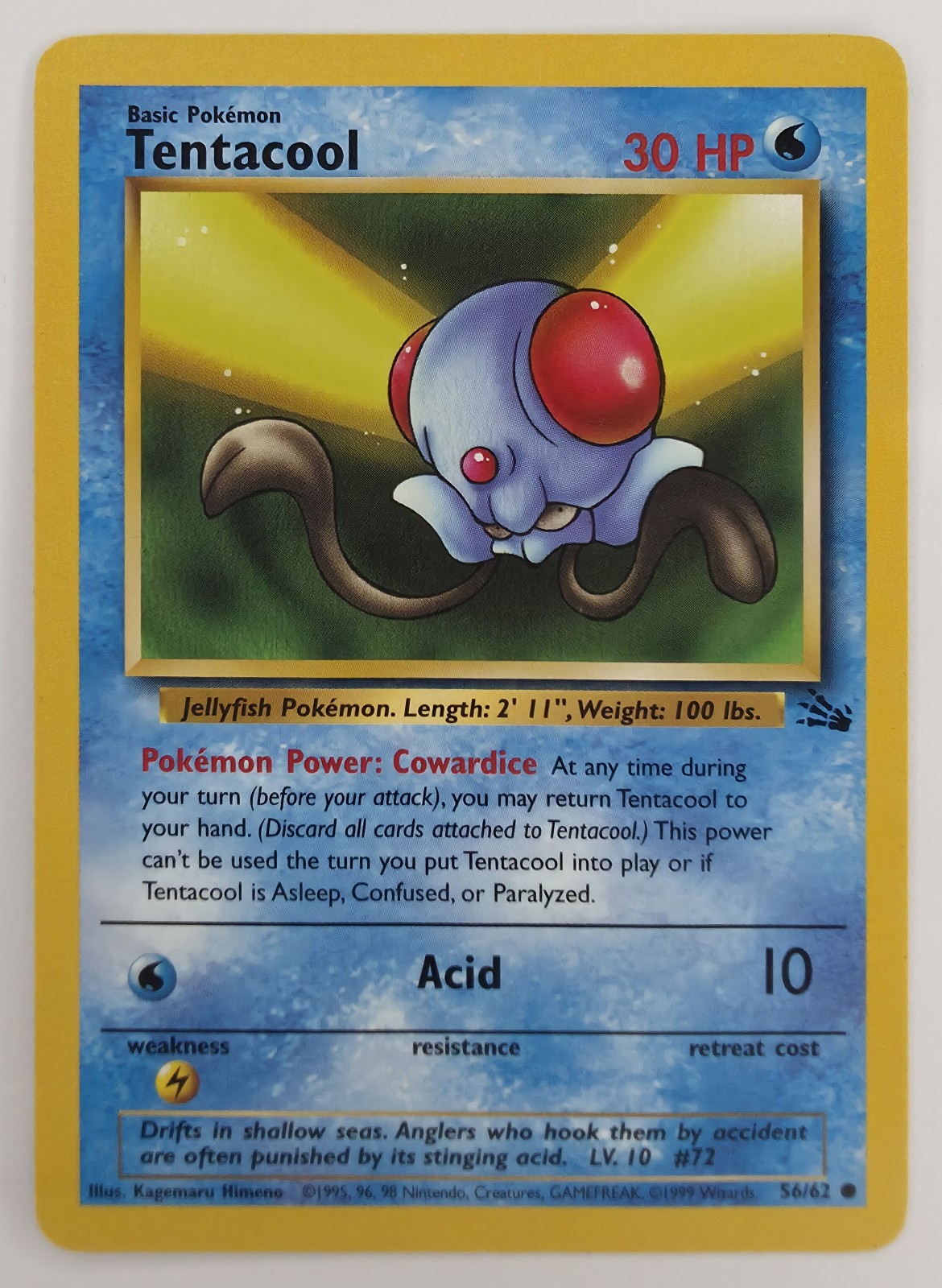 Tentacool front