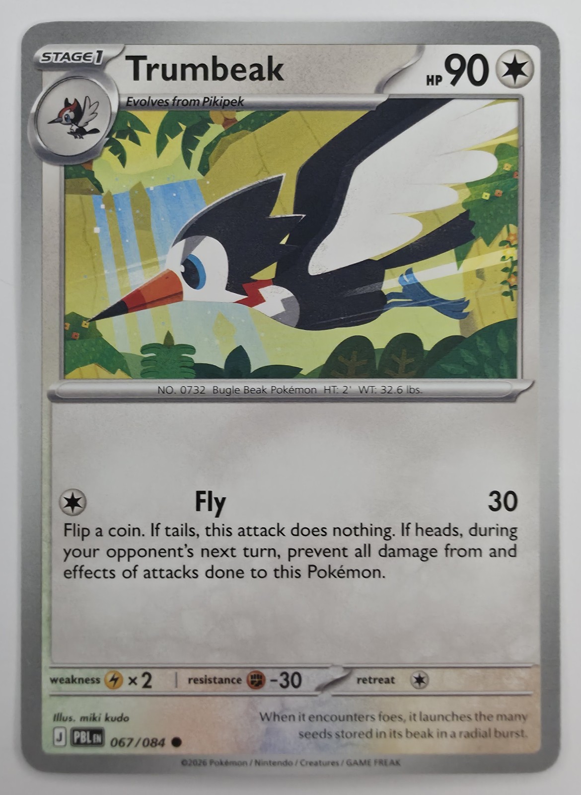 Trumbeak front