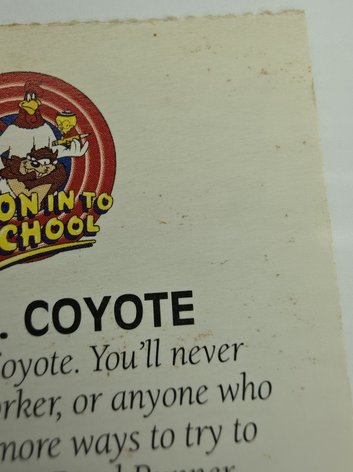 Wile E. Coyote 'Toon In To School card photo 8